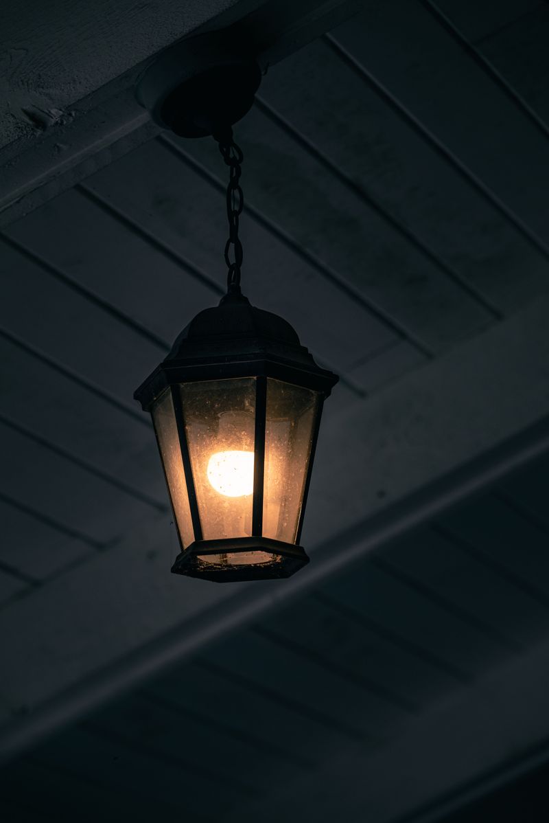 Porch Lights Turn Your Home Into A Praying Mantis Hunting Ground Porch Lights Turn Your Home Into A Praying Mantis Hunting Ground