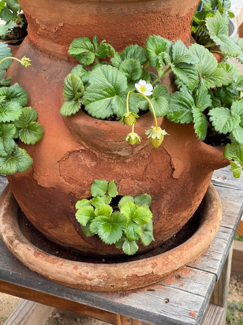 Porous Containers Lose Water Through Their Walls