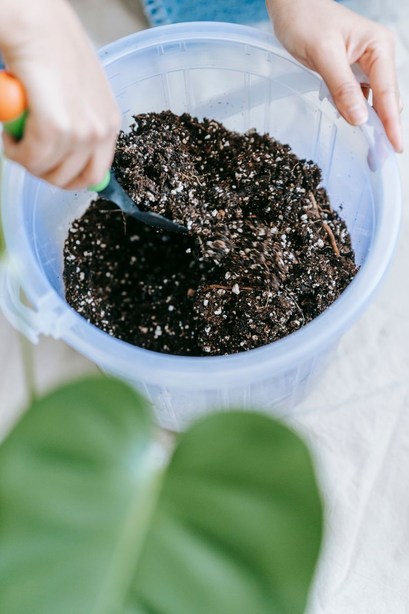 Potting Mix That Stays Wet For Weeks