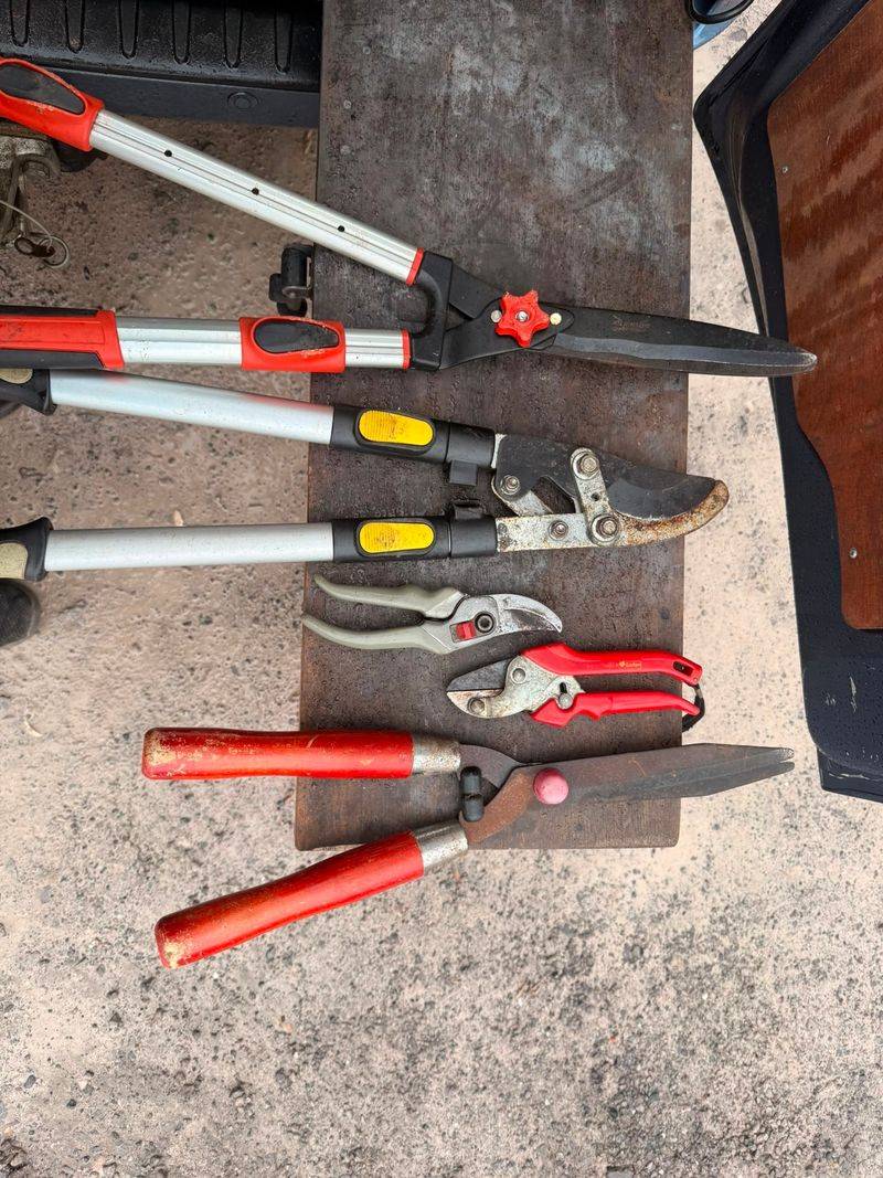 Power Shears Versus Hand Pruners In Autumn