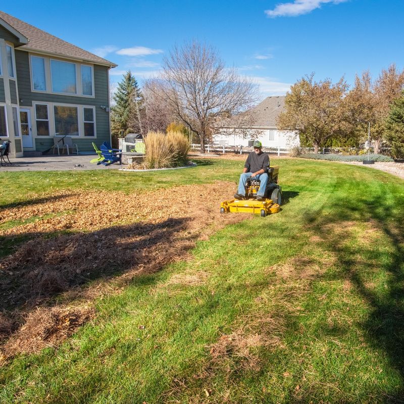 Practical Fixes For September Yards