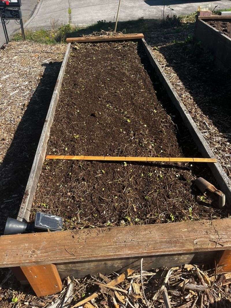 Prepare A Sunny Bed With Rich Soil