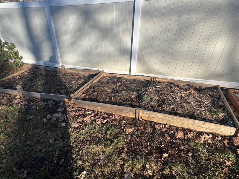 Prepare Beds Before Winter Growing Begins