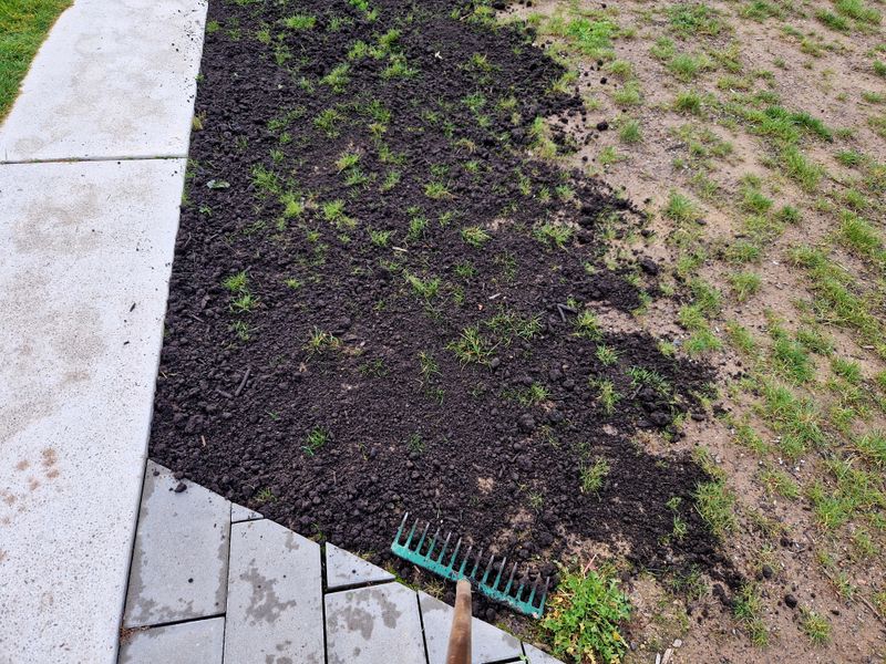 Prepare Before You Spread A Single Seed Prepare Before You Spread A Single Seed