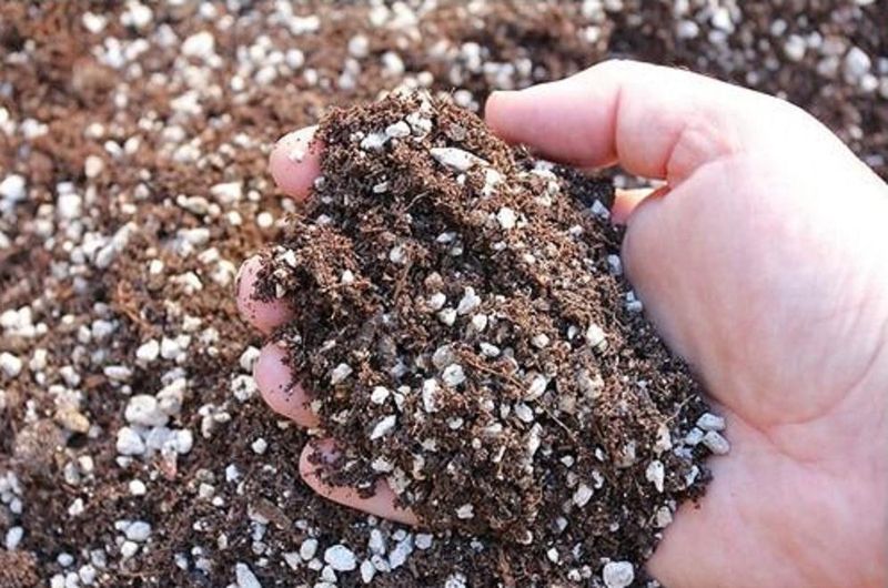 Prepare Fast-Draining Arizona Rooting Conditions