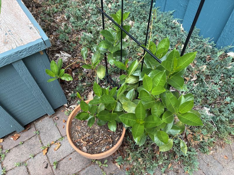 Prepare For A Strong Spring Comeback