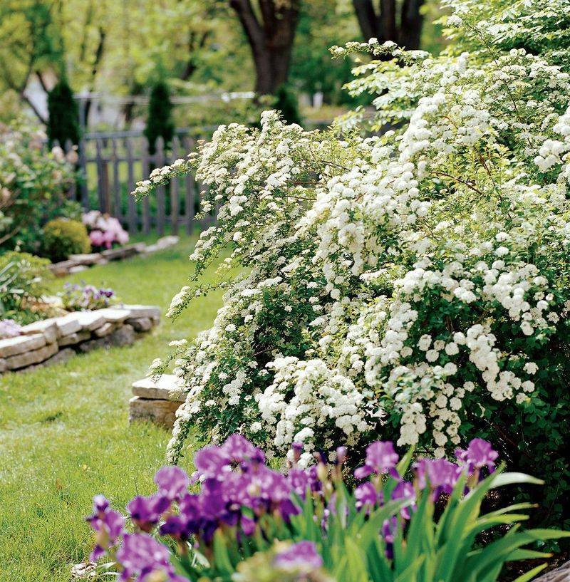 Prepare For Spring Flower Production