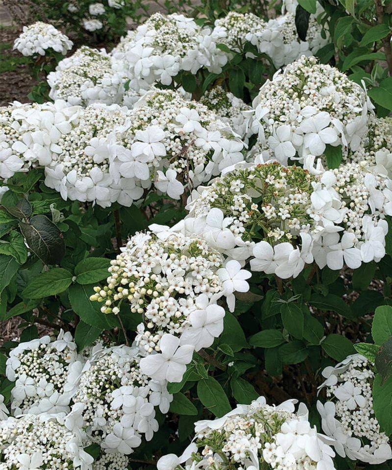 Prepare For Strong Spring Growth
