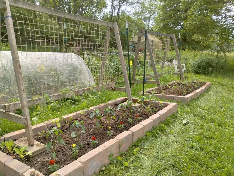 Prepare Garden Beds For The Next Storm