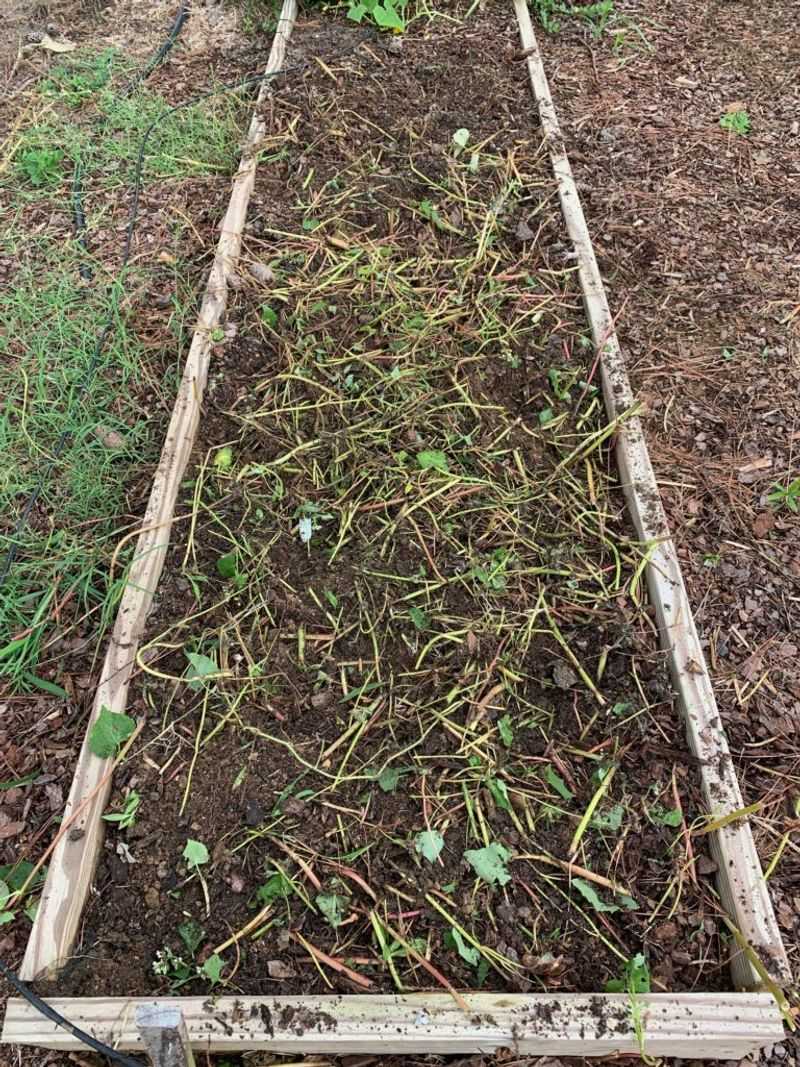 Prepare The Bed Before Planting Time