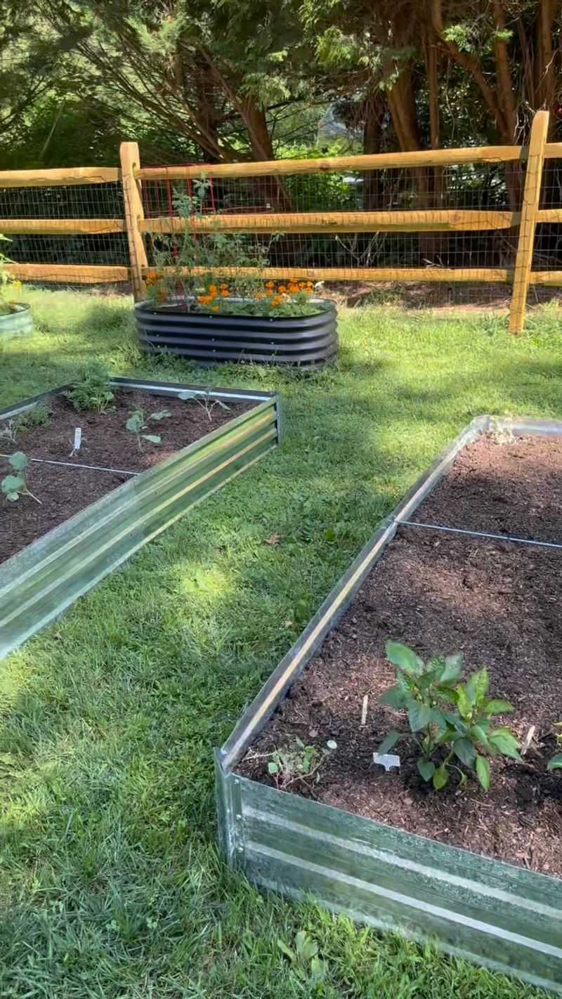 Prepare The Bed For Fall Crops