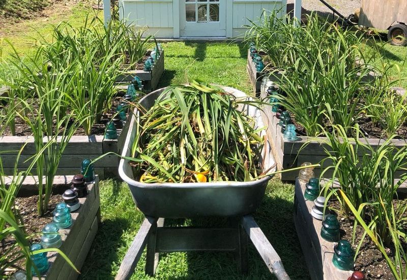 Prepare The Bed For Spring Growth