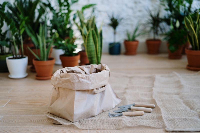 Prepare The Indoor Spots Before The Pots Arrive Prepare The Indoor Spots Before The Pots Arrive