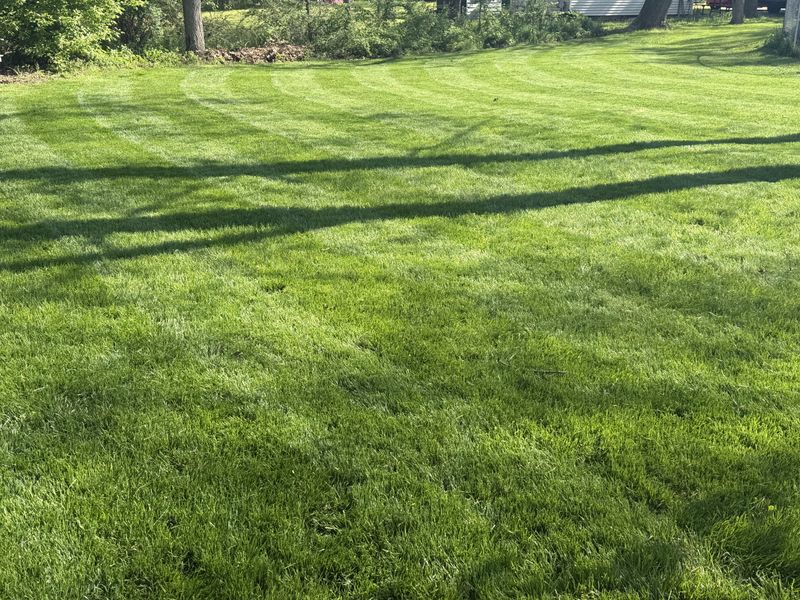 Prepare The Lawn For Spring Recovery Prepare The Lawn For Spring Recovery