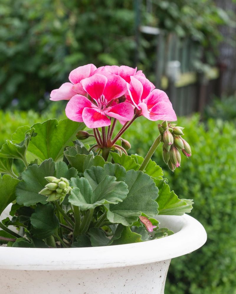 Prepare Them For A Strong Spring Restart
