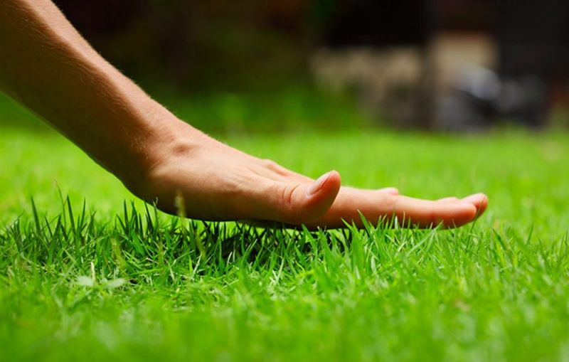 Prepare Your Yard Now For A Stronger Spring Comeback Prepare Your Yard Now For A Stronger Spring Comeback