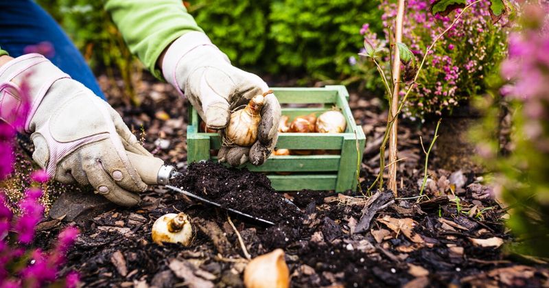 Prepare now, but let Wisconsin’s forecast set the digging date Prepare now, but let Wisconsin’s forecast set the digging date