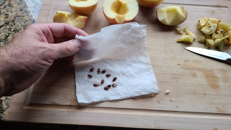 Prepare the seed before you begin Prepare the seed before you begin