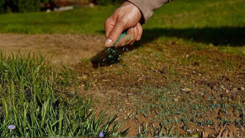 Preparing Your Pennsylvania Lawn Soil Before The Late-Season Seed Drop