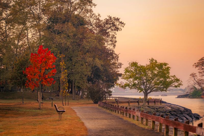 Prime Spots For Early Tupelo Color Across The Garden State