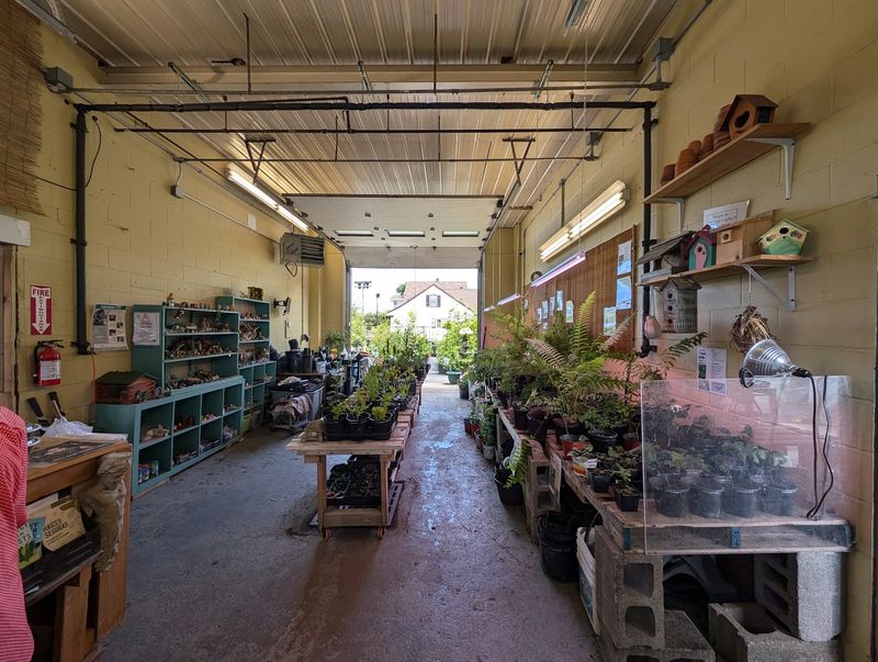 Primeval Forest Nursery Primeval Forest Nursery