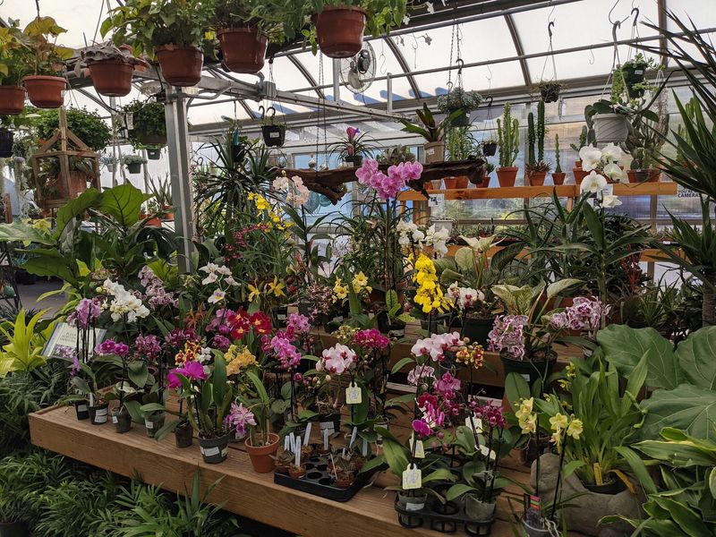 Primex Garden Center - Glenside