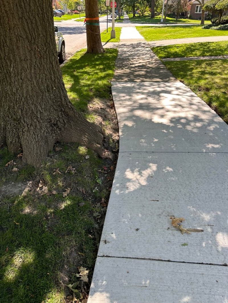 Private Trees Can Still Be Subject To Local Rules Private Trees Can Still Be Subject To Local Rules