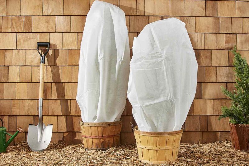 Protect Blooms From Early Frost Damage Protect Blooms From Early Frost Damage