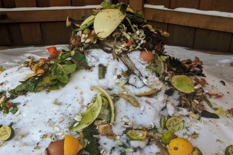 Protect Compost During Winter Without Stopping Decomposition
