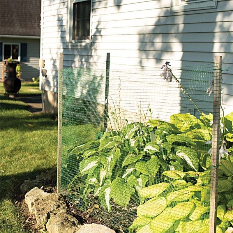 Protect Favorite Plants Before Damage Starts Protect Favorite Plants Before Damage Starts