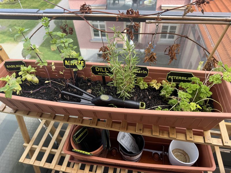 Protect Hardy Herbs With Better Balcony Placement Protect Hardy Herbs With Better Balcony Placement