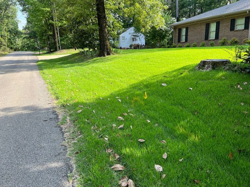 Protect Healthy Zoysia Before Winter Arrives