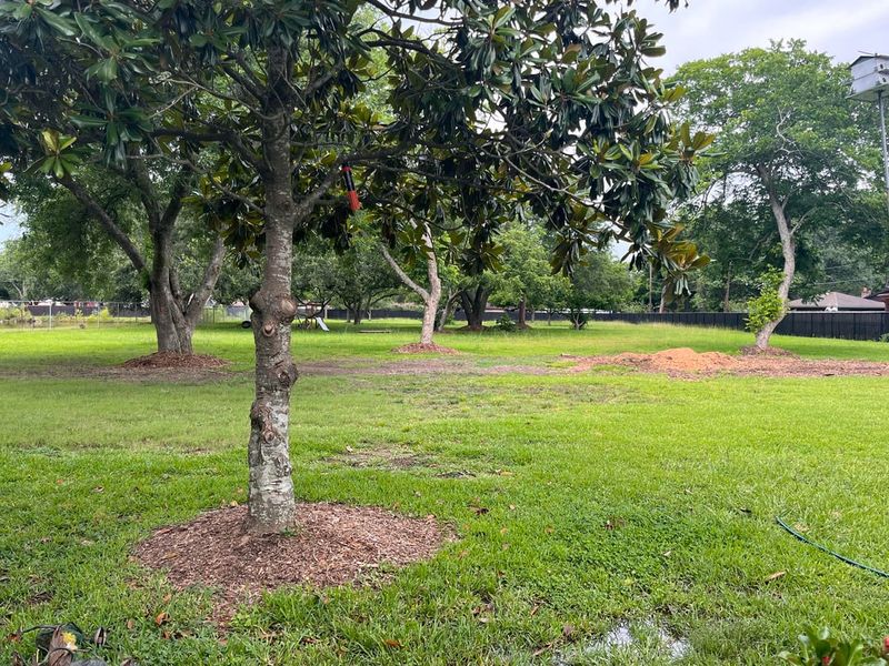 Protect Lawn Areas From Flood Debris Protect Lawn Areas From Flood Debris