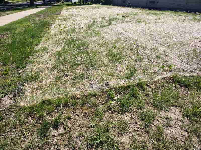Protect New Seed From Erosion