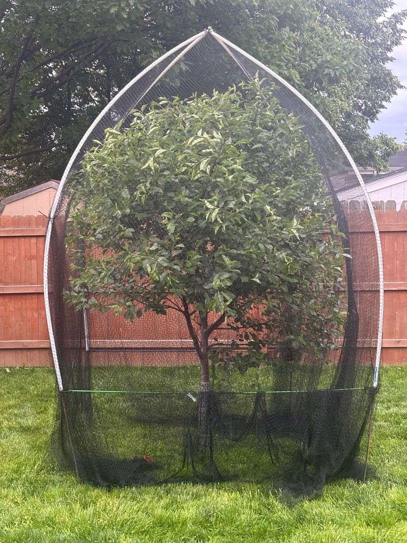 Protect Ripe Harvests Without Disturbing Visiting Bees Protect Ripe Harvests Without Disturbing Visiting Bees