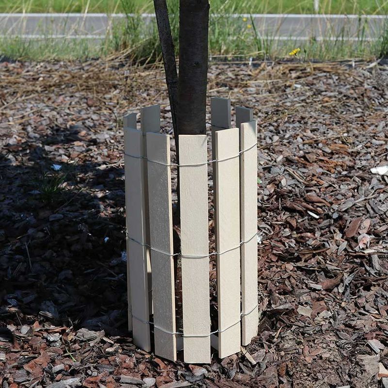 Protect The Trunk From Mowers And Trimmers Protect The Trunk From Mowers And Trimmers