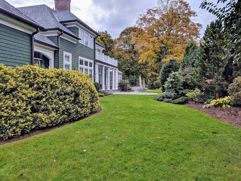 Protect Valuable Shrubs Before Making Big Cuts