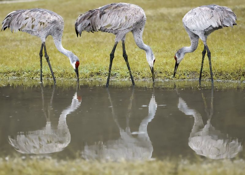 Protect Wetlands From Pollution Protect Wetlands From Pollution