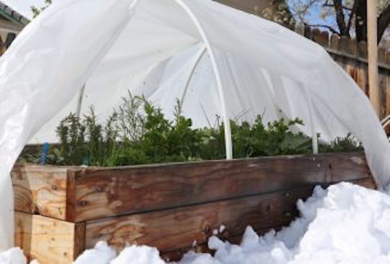 Protect Wisconsin Homes and Beds From Winter-Carried Problems