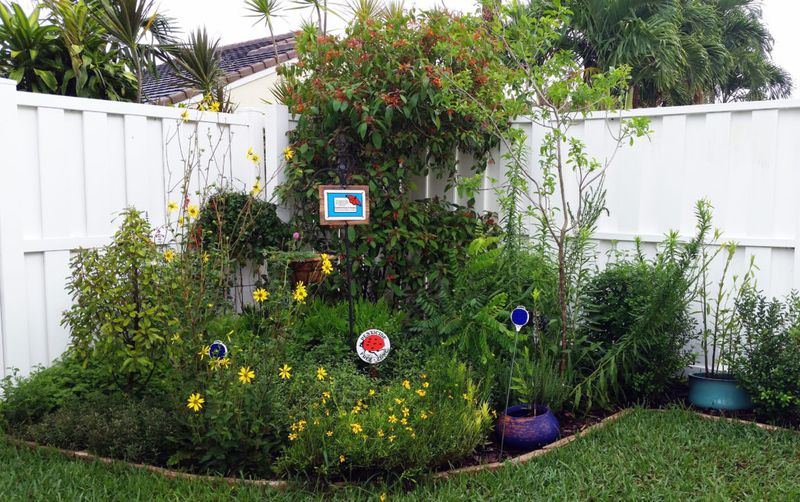 Protect Your Garden Without Wiping Out Every Caterpillar