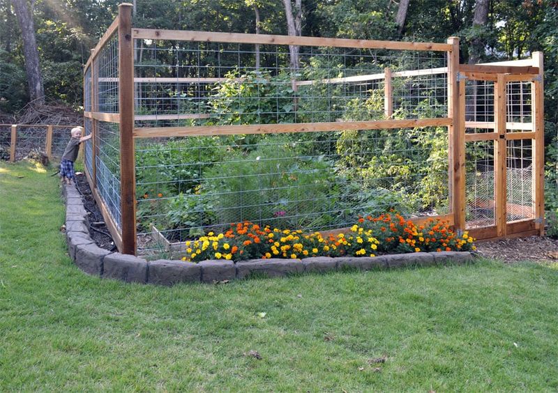 Protect the yard after confirming the problem