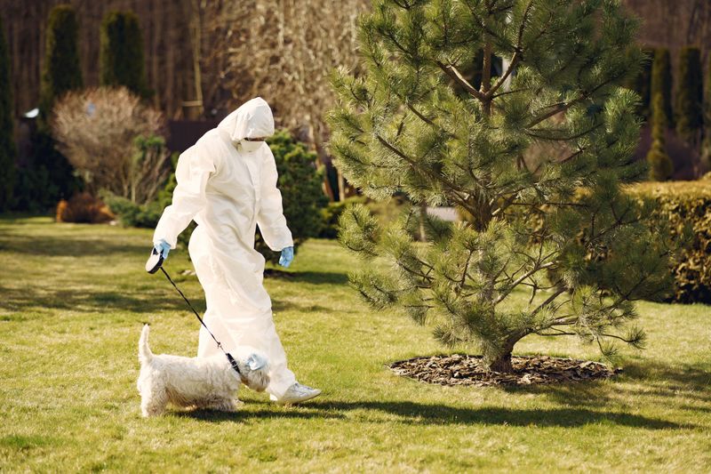 Protecting Pets Before The Next Visitor Shows Up