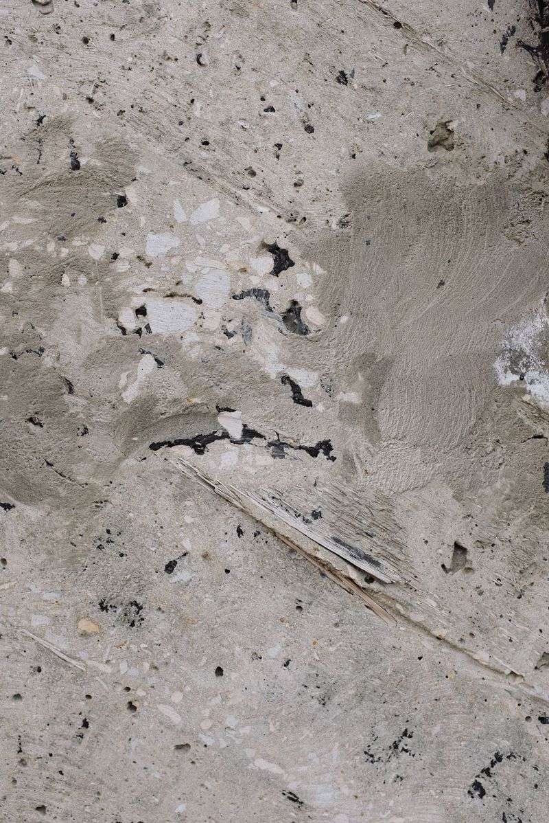 Protecting Your Concrete During Husking