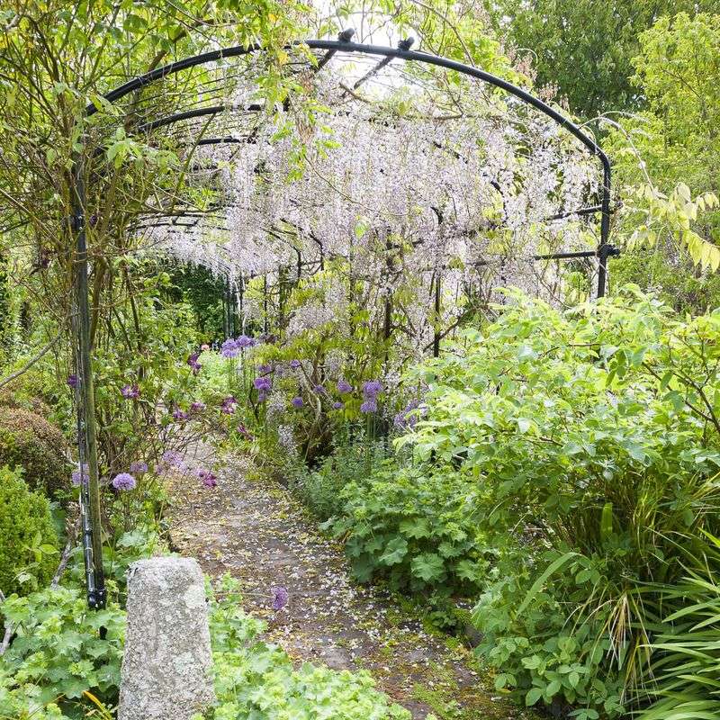 Prune It To Keep Growth Under Control Prune It To Keep Growth Under Control