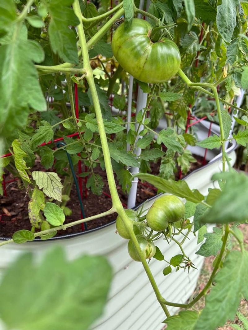 Pruning Leaves Will Not Speed Things Up