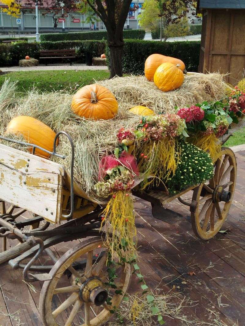Pumpkin Patches, Hayrides, And Barnyard Extras