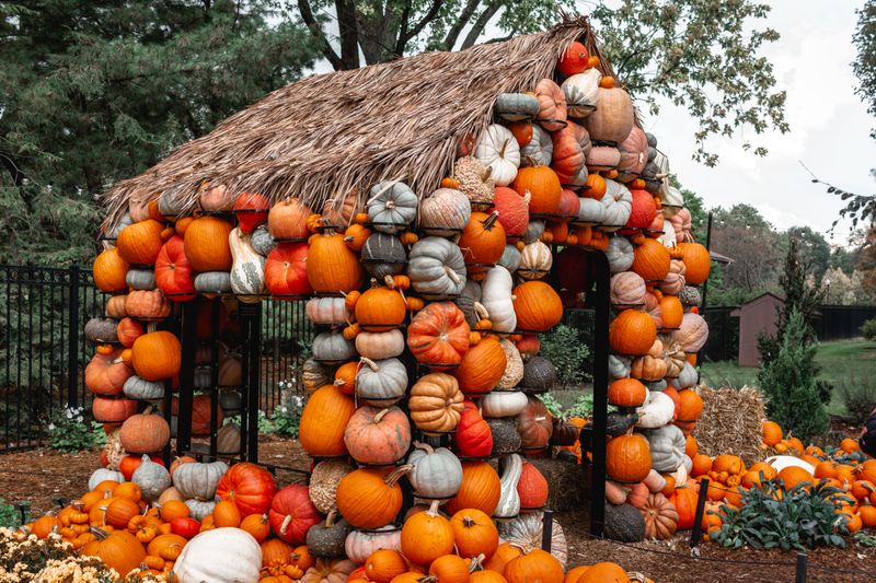 Pumpkin Village And Its Towering Orange Houses Pumpkin Village And Its Towering Orange Houses