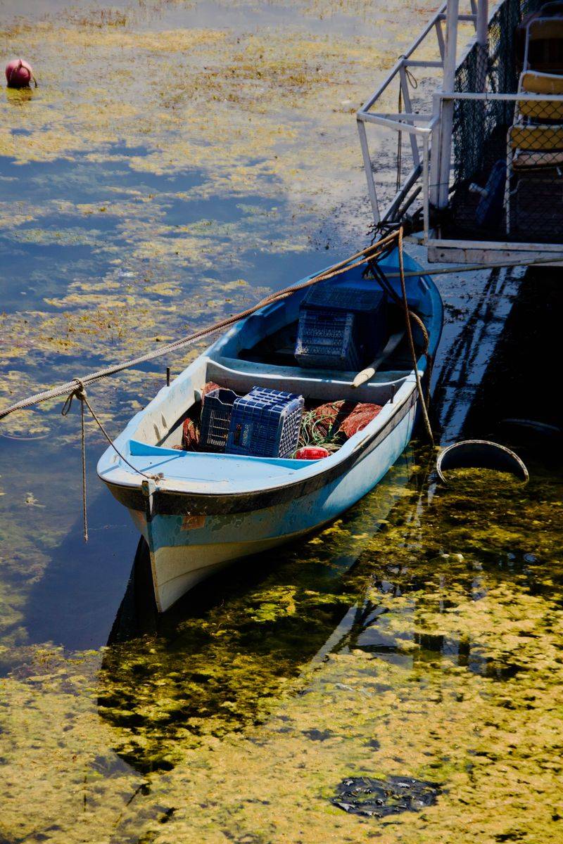 Pumps, Traps And Boats Get Their Tune-Up