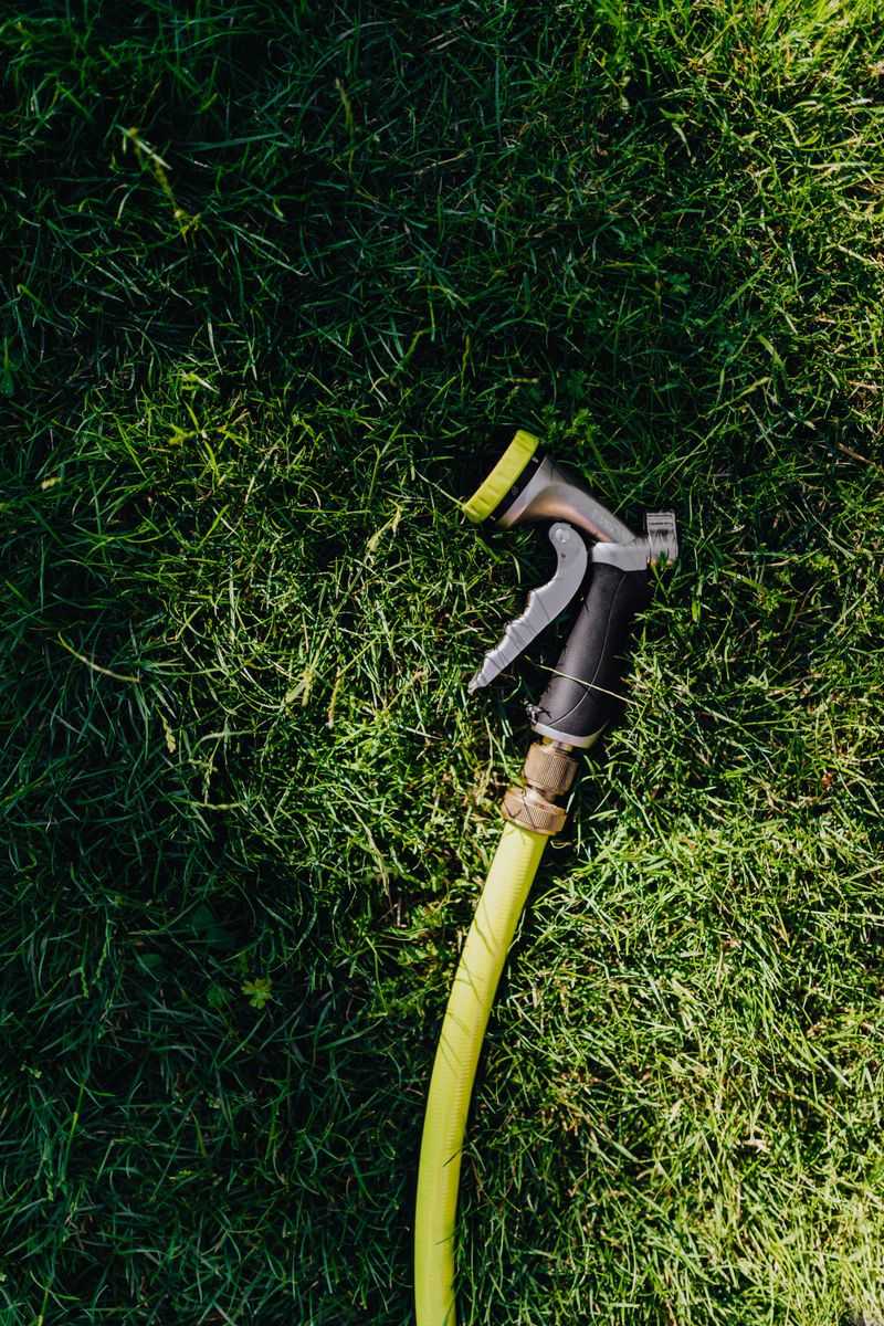 Put Down The Hose And Read The Signals First Put Down The Hose And Read The Signals First