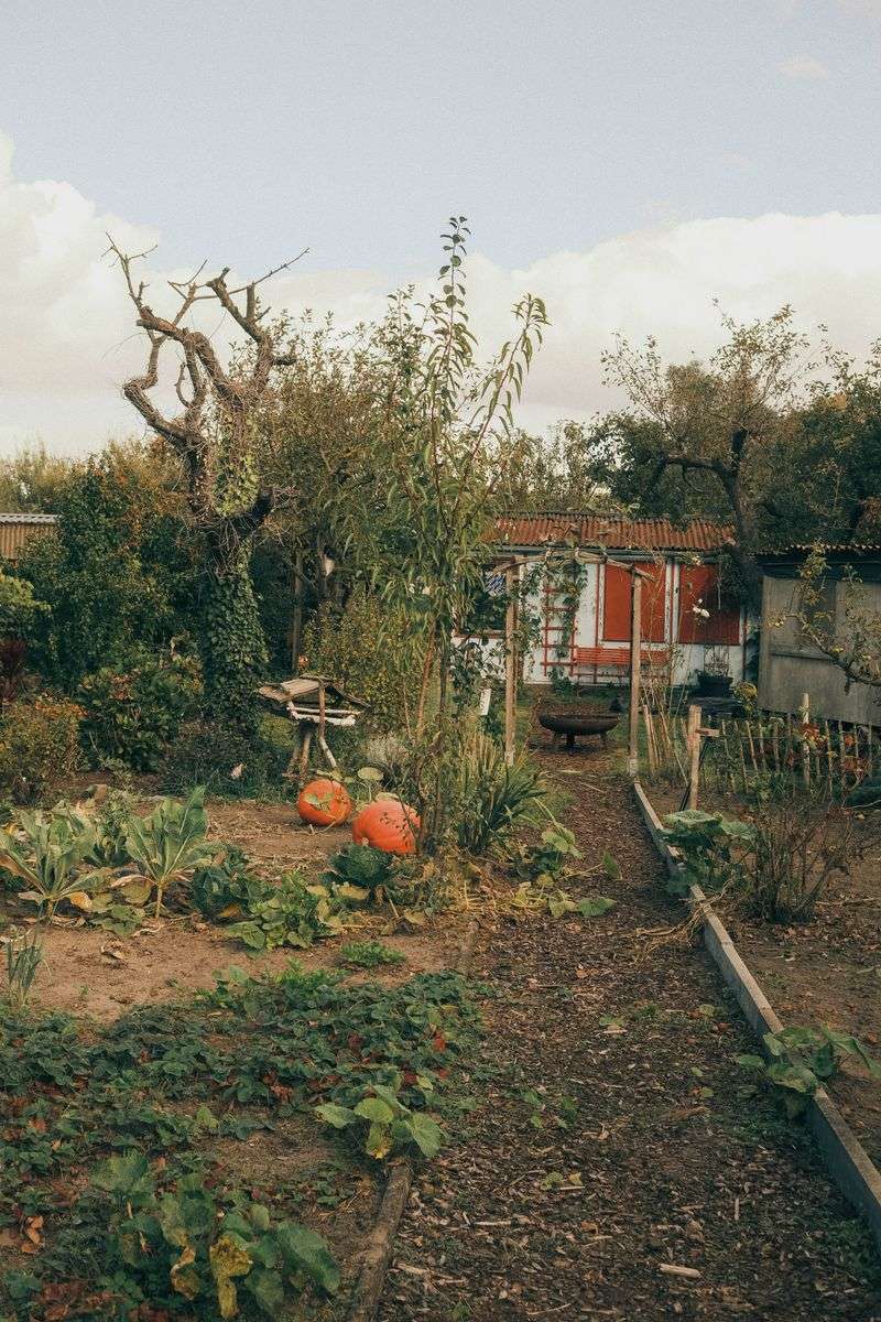Put The Garden To Bed Before The Ground Firms Up Put The Garden To Bed Before The Ground Firms Up